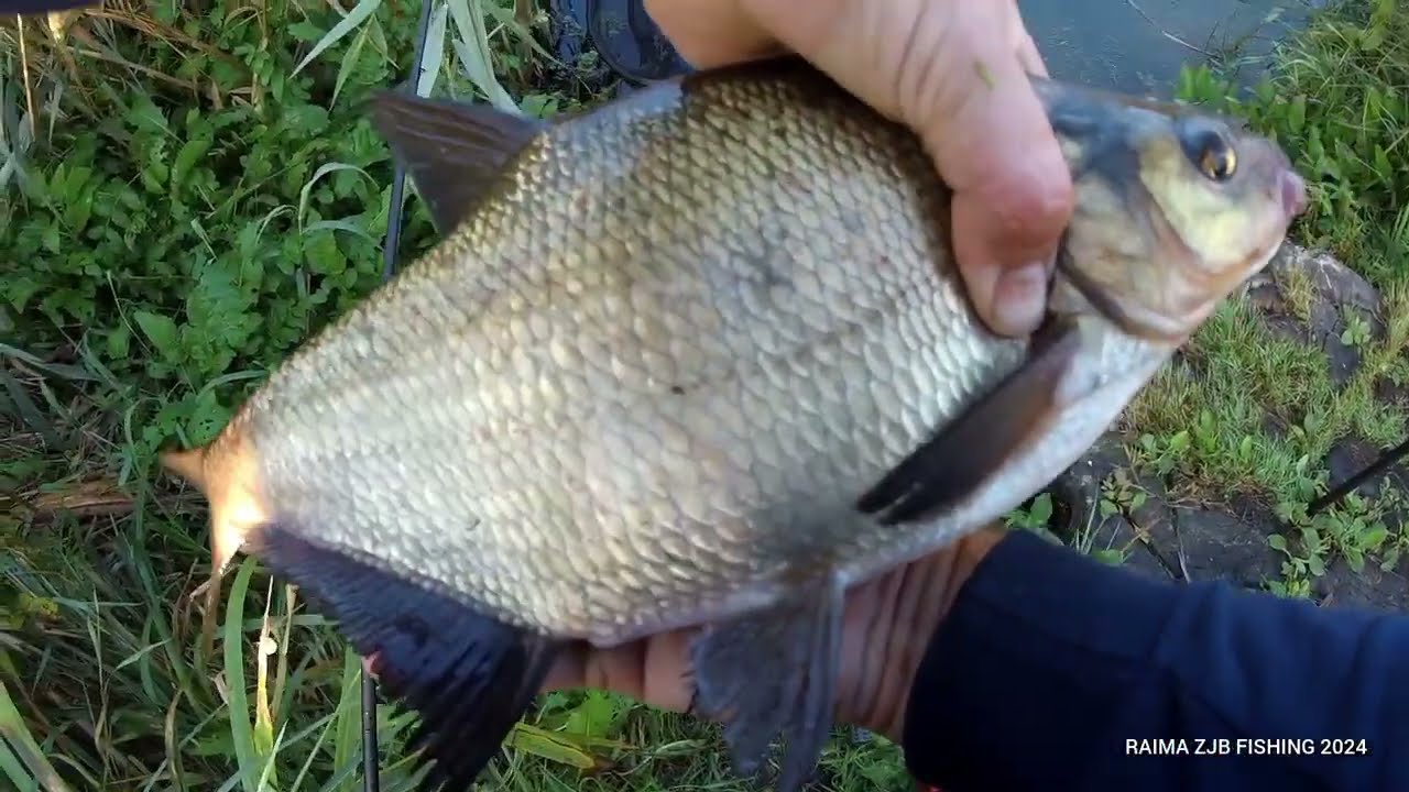 UPĖ / FEEDERIS / 2 RYTINĖS ŽVEJYBOS / (N-18)