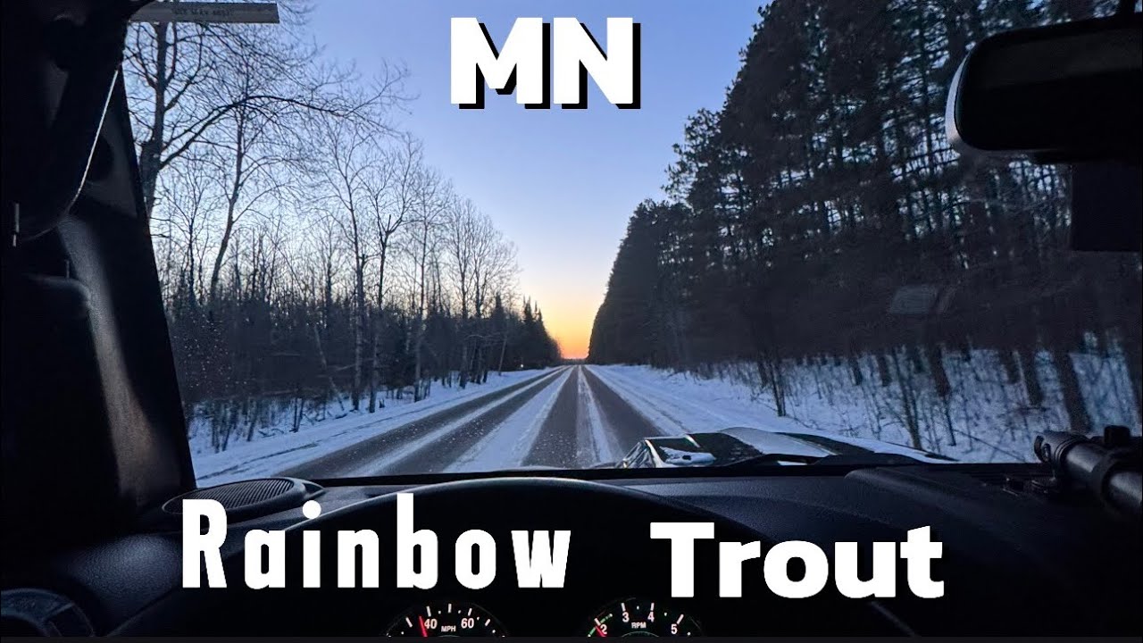 Ice fishing MN rainbow  trout (Graph cam) 