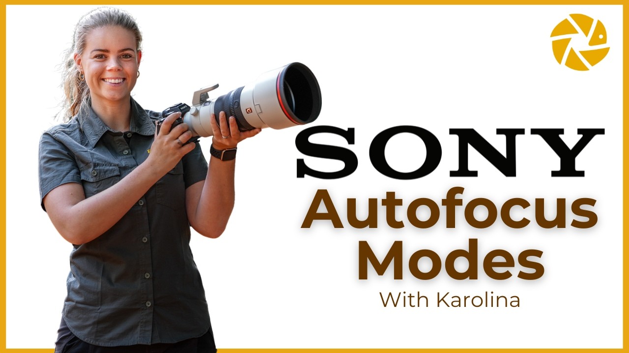 Каролина объясняет режимы автофокусировки Sony