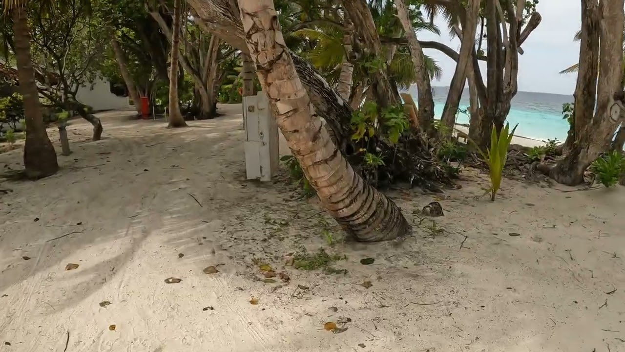 Bandos Maldives island walk around on Dec 21 2025