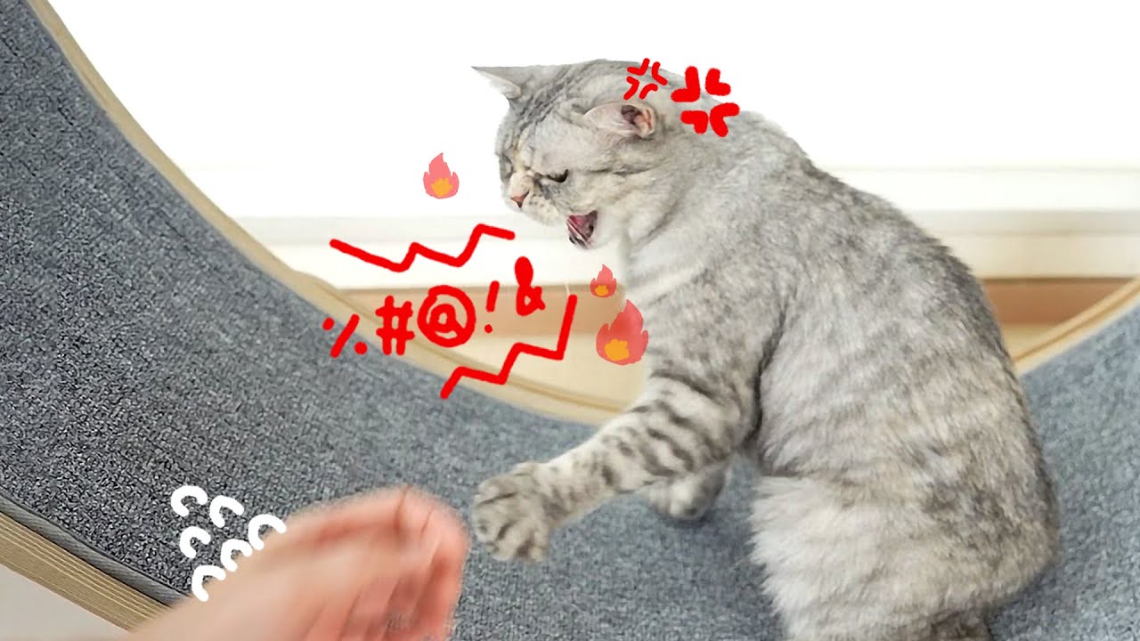 충격! 티티가 흑화했습니다