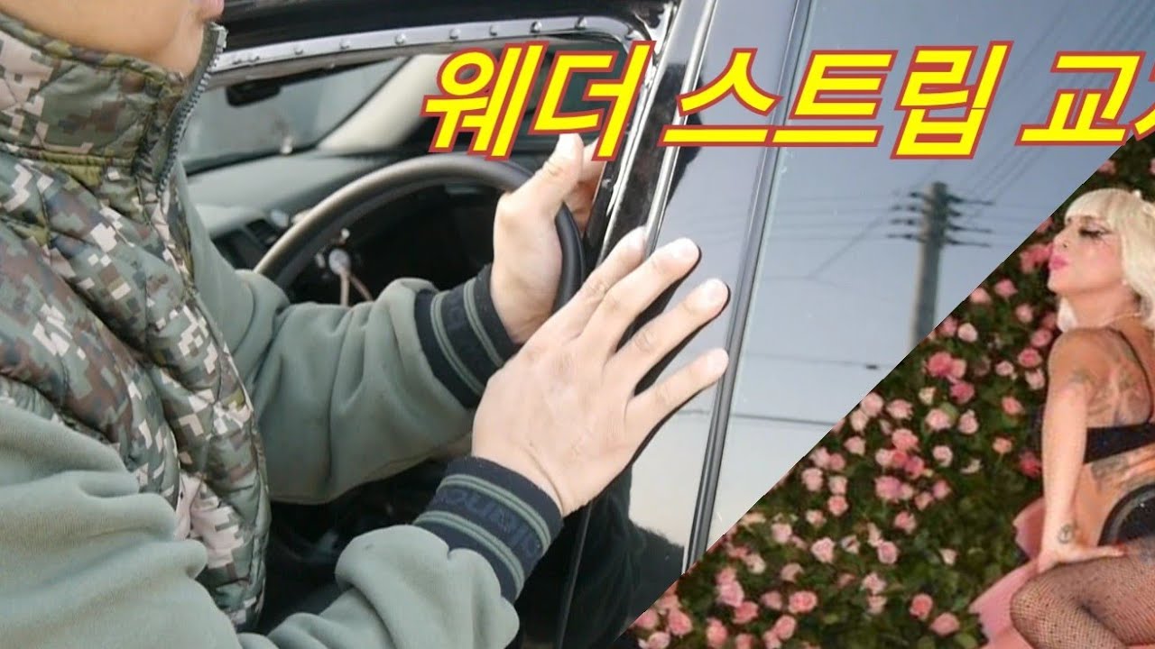 웨더 스트립(도어 안쪽 고무교체)ㅡ쌀값 벌었네요!