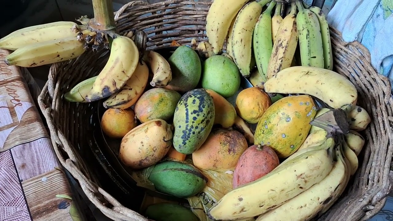 Vamos d3 frutas orgânicas 