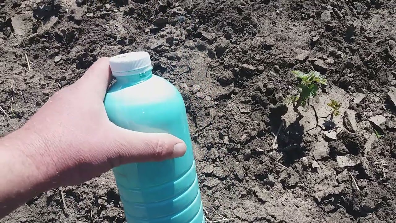 Купроксат (первая фунгицидная обработка)