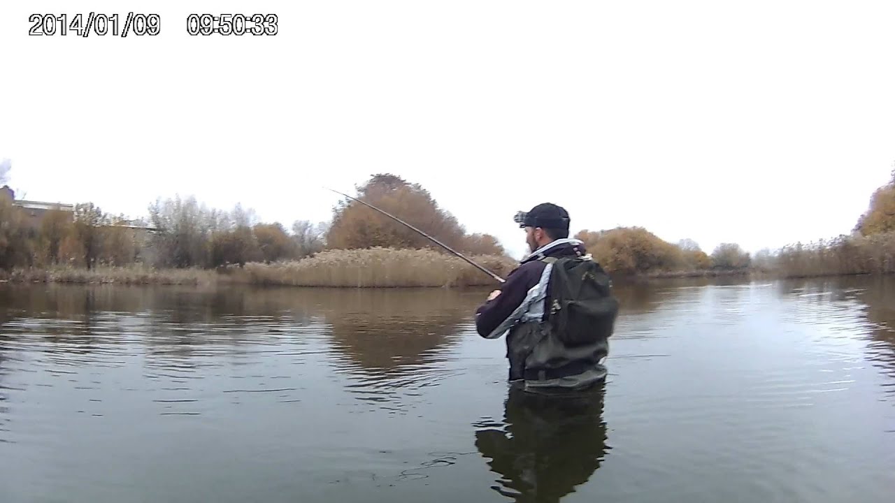 Lucios de invierno en el río Tormes Salamanca
