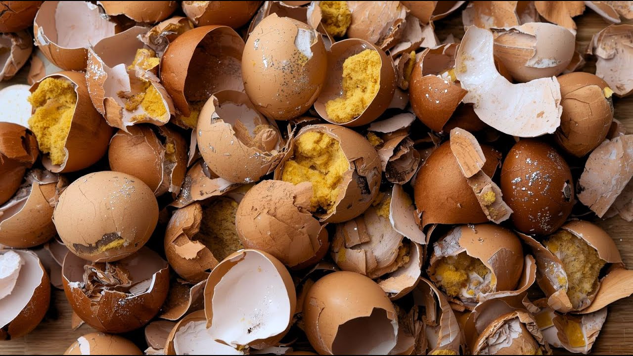 ASMR Aplastando Cáscaras de Huevo Crujientes | Crushing Eggshells ASMR 🥚