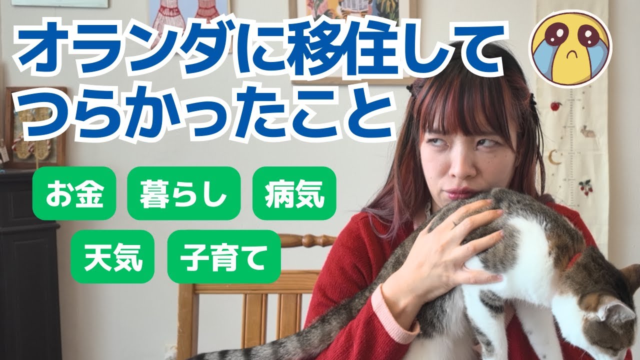 移住して正直つらかったこと｜オランダ生活のリアル