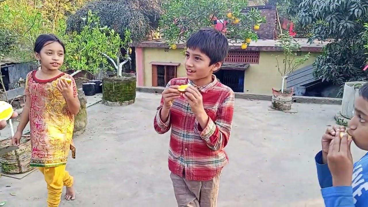 বারোমাসি ওভালে কালা ব্রিস্ক মাল্টা।  