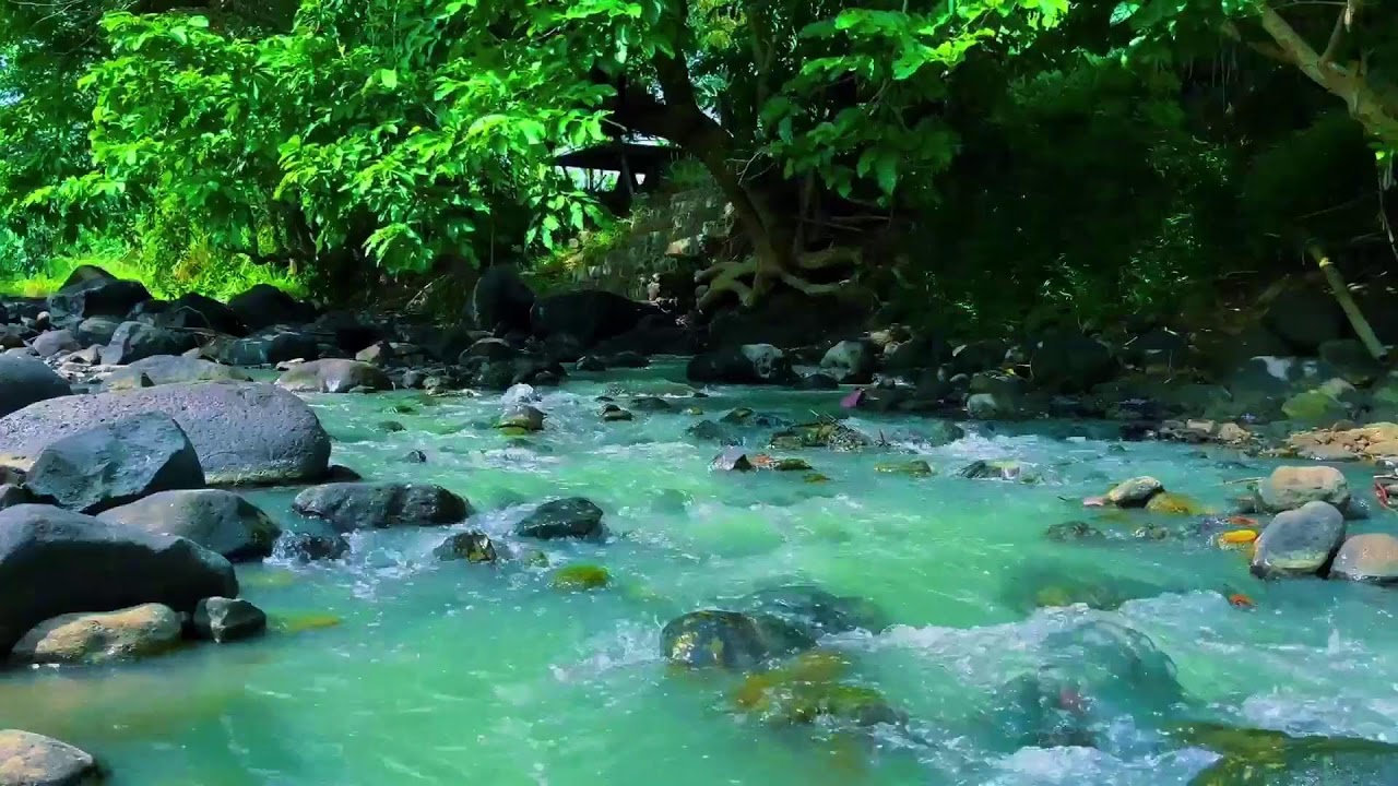 Fall Asleep Fast with Deep River Sound | Healing Forest Night Water for Insomnia