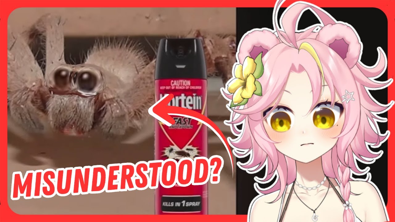 AUSTRALIA SCARES ME... - MoreParz Reaction | Maddiekuma Reacts