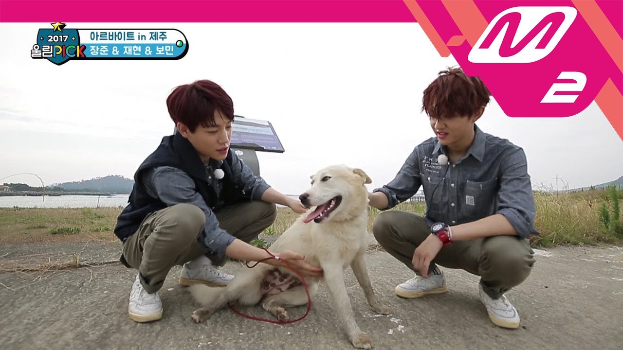 [2017 WoollimPICK] Pet sitters' hard work! Where is David the runaway dog? EP.6