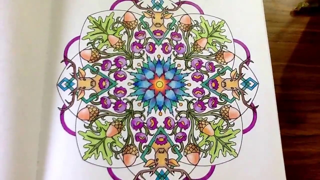 The Nature Mandala - colouring book by Cynthia Emerlye -  14 watercolour and coloured pencils pages
