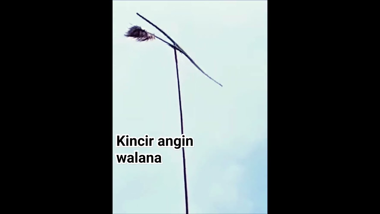 Kol&eacute;c&eacute;r asli Cianjur 