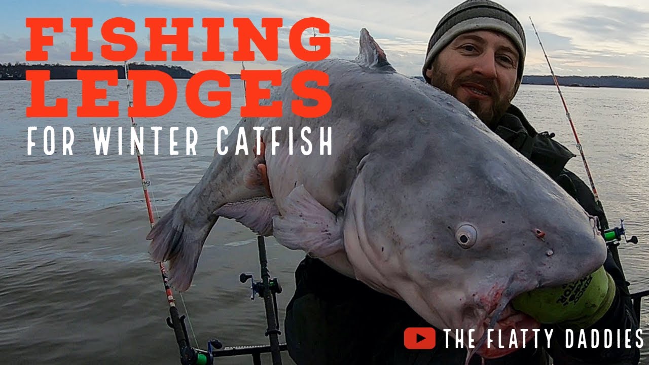 Fishing Ledges For Winter Blue Catfish