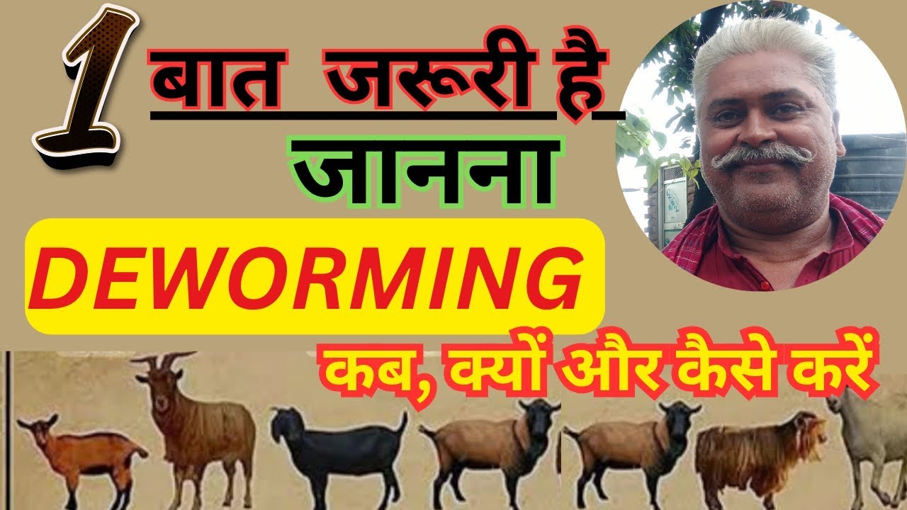 गोट फार्मिंग का मूल मंत्र