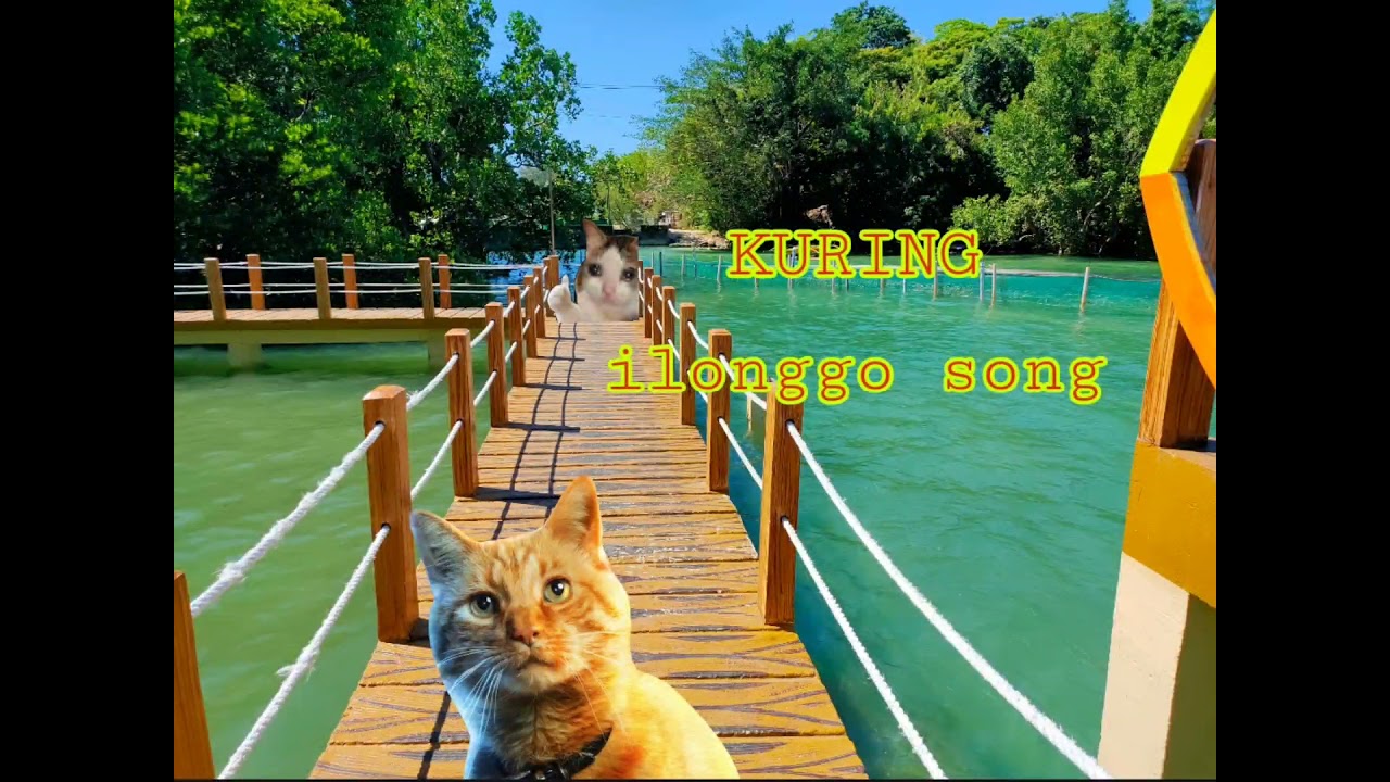 KURING | BEST OF  ILONGGO SONG | PIROT SONG