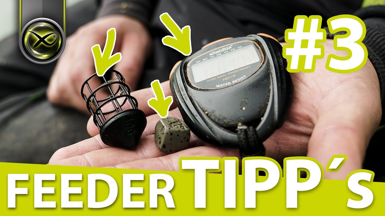 FEEDER TIPP's - #3 richtig Ausloten