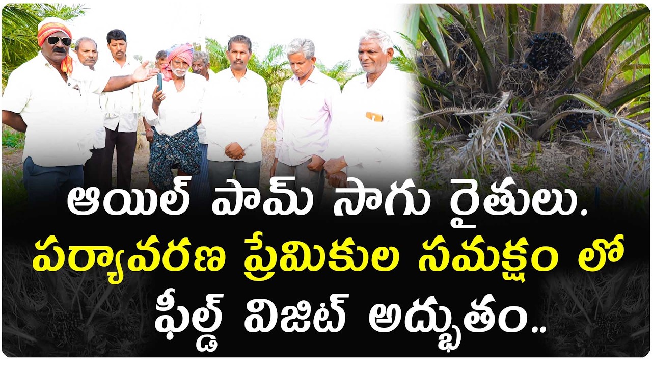 ఆయిల్ పామ్ సాగురైతులుపర్యావరణ ప్రేమికులతోకలిసిజరిగినఫీల్డ్ విజిట్ రైతుల్లోకలిగిన అపూర్వస్పందనవివరాలు