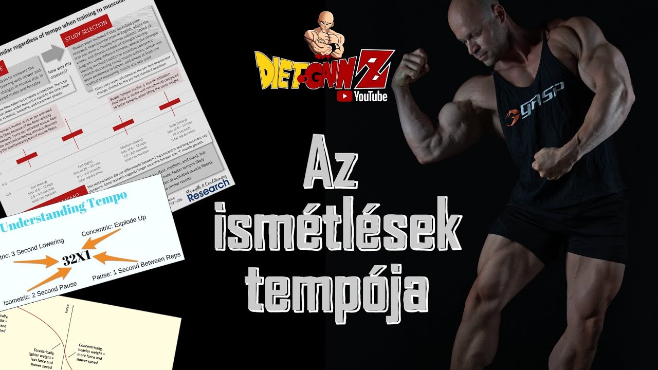 Az ismétlések tempója - Dietgainz