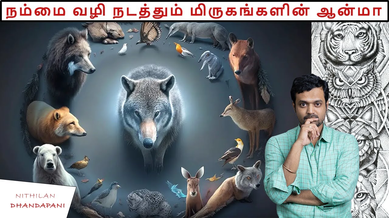 How Animal Spirits helps us from our Birth till Death | Animal Totem | ND Talks | Tamil