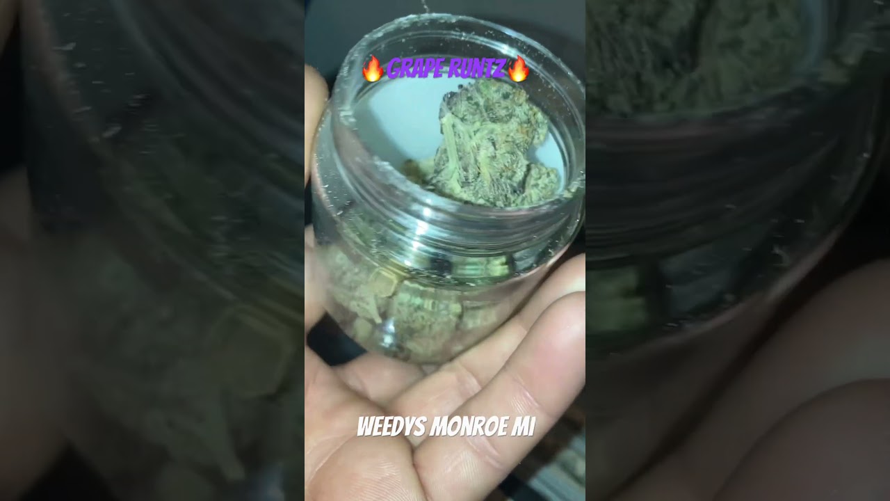 Grape Runtz From Weedys Monroe Michigan #weedys #graperuntz #grapeape #runtz