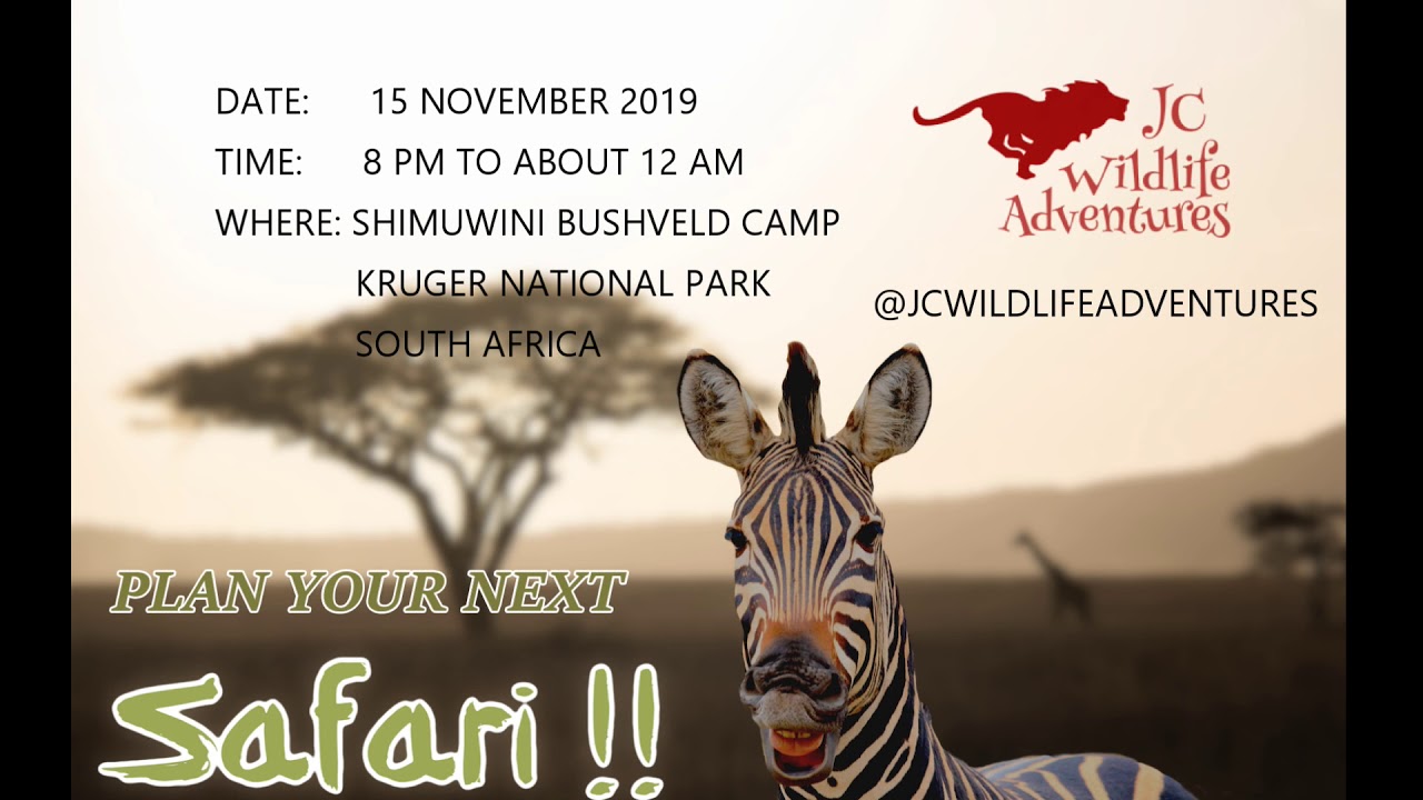 Simuwini Bushveld Camp, Kruger National Park, Night Sounds