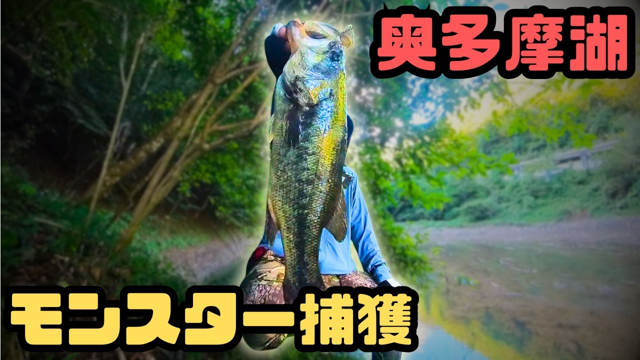 何年かぶりに奥多摩湖のバスが釣れたのだ…それも…2匹も同時にだ