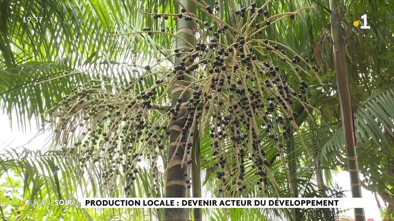 Production locale: devenir acteur du d&eacute;veloppement