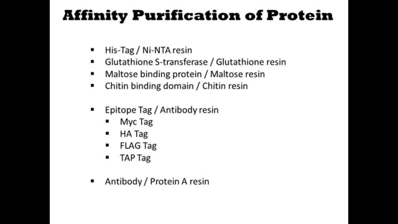 Protein Purification