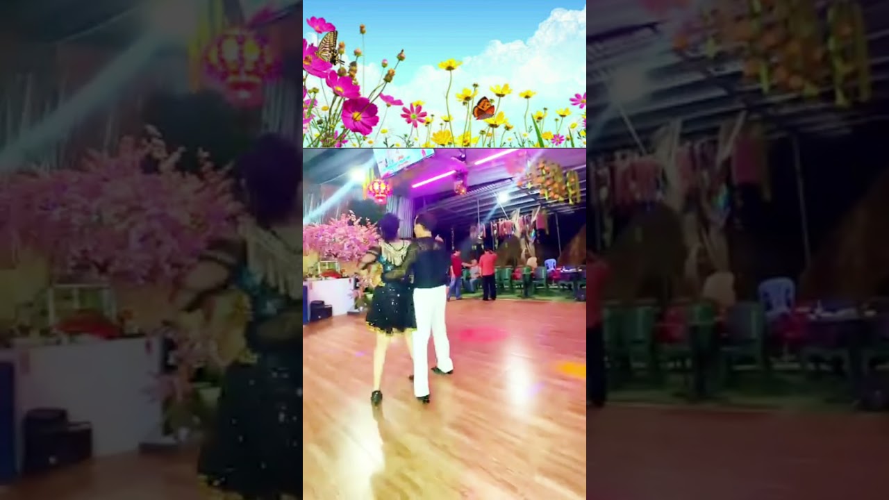 О, моя любимая жизнь ❤ 