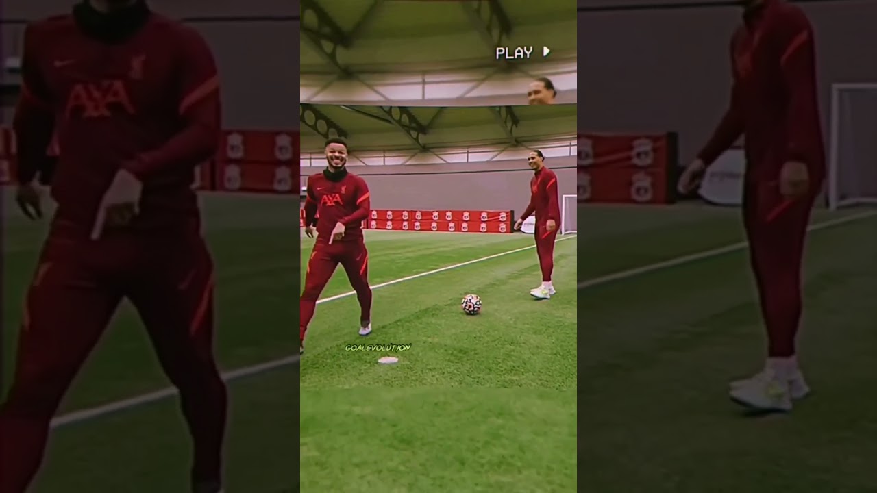 #vandijk