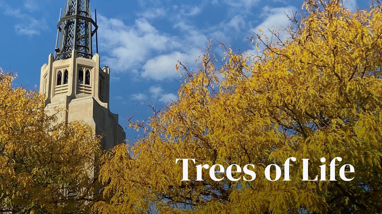 Annual Reformation Day Festival of Hymns: Trees of Life | 6:00 pm (EDT) Worship Service 10-26-25