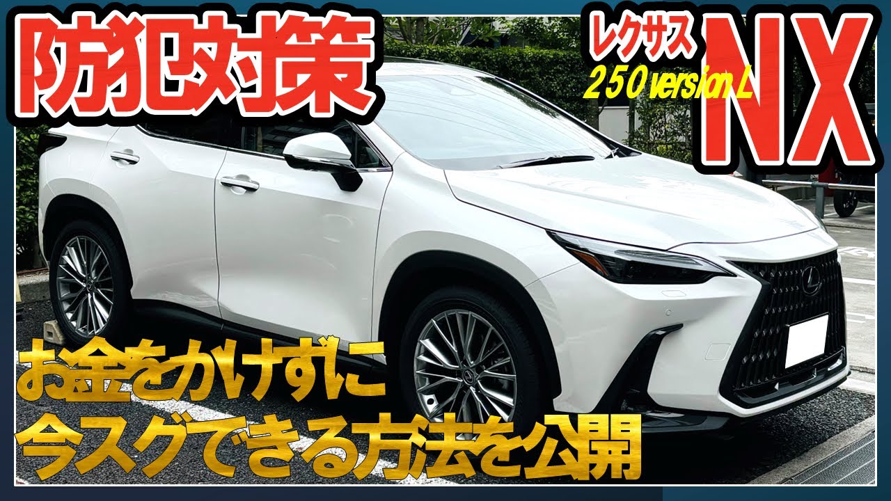 【防犯10選】私が実践しているレクサスNX250のカーセキュリティを紹介します#レクサスnx #レクサス #lexus