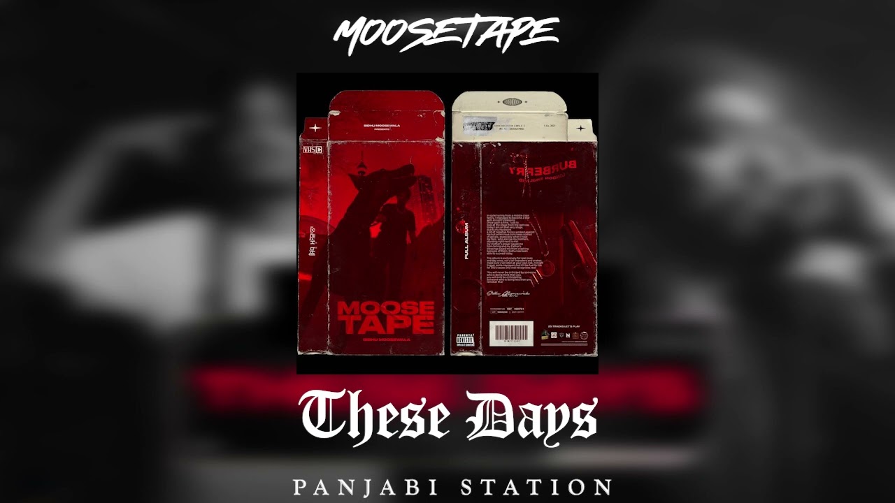 These Days - Sidhu Moose Wala | Instrumental