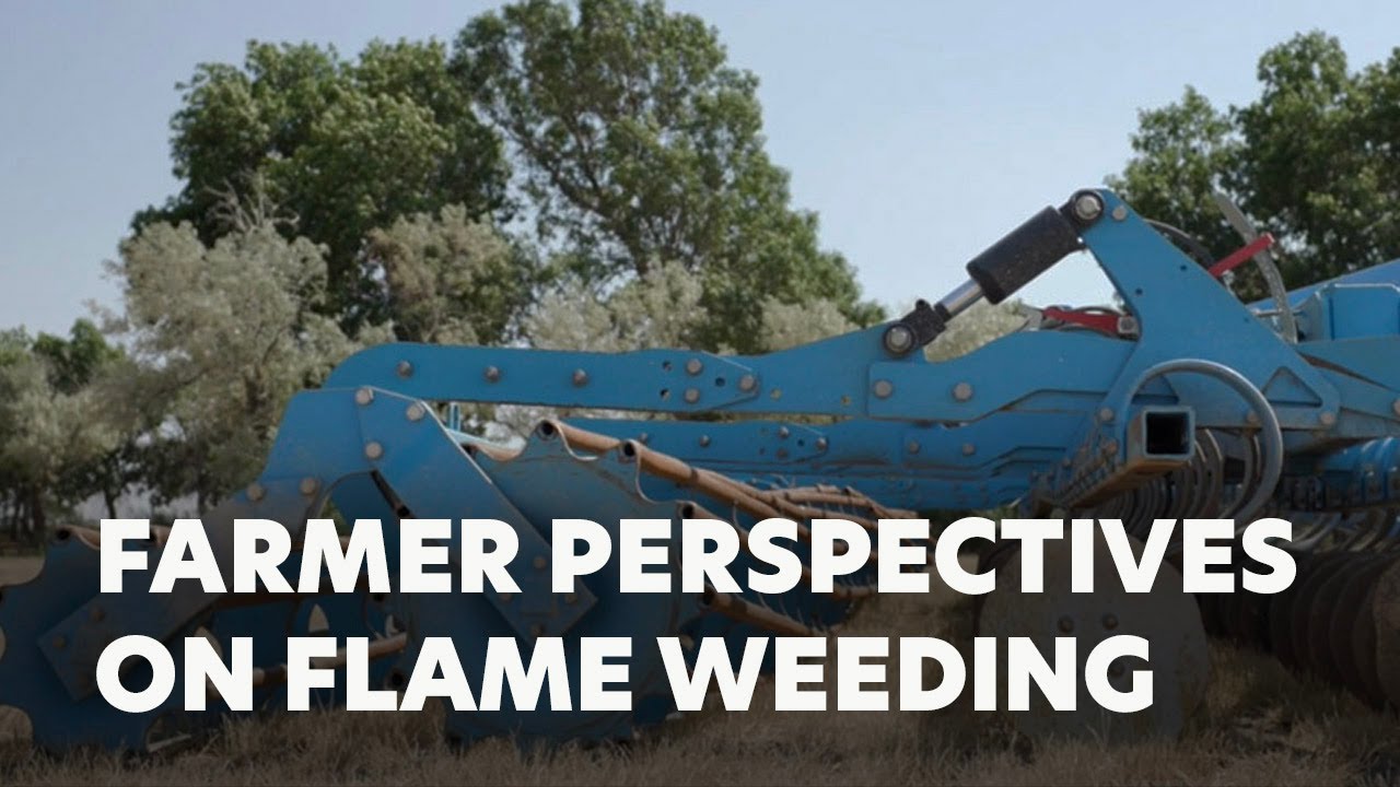 Farmer Perspectives on Flame Weeding