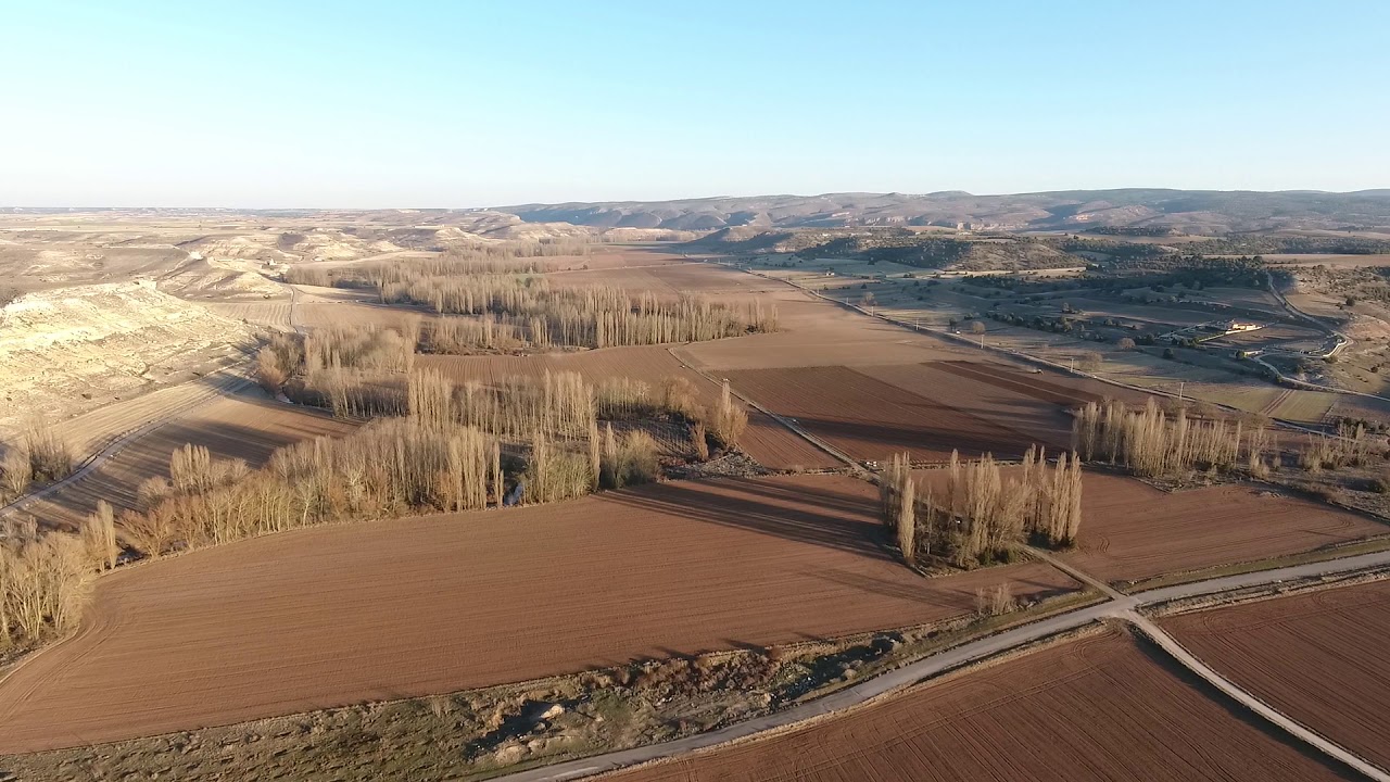 Camino Lagares, Milagros