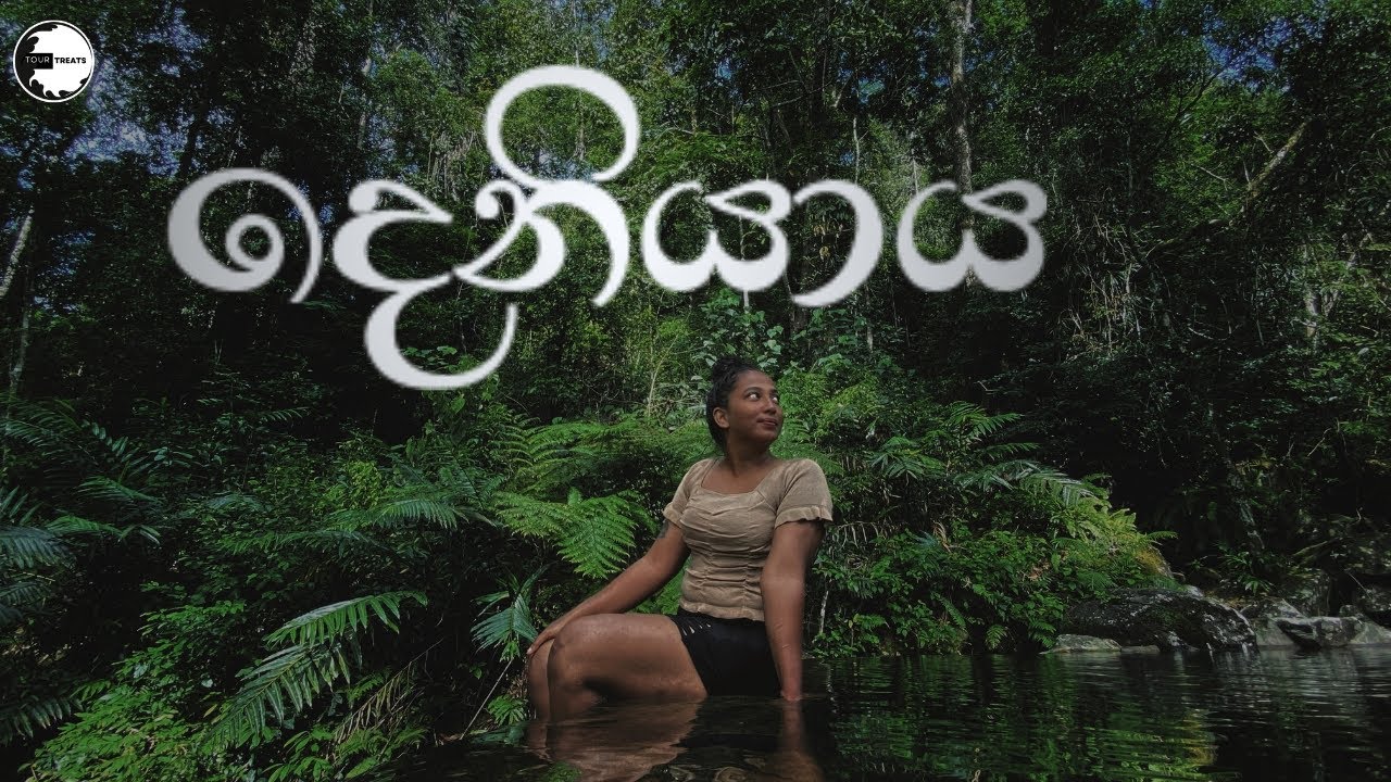 Hidden Luxury Cabana near  Sinharaja Forest │ Deniyaya │ Forest Retreat  │Sri Lanka │ Travel Vlog 15