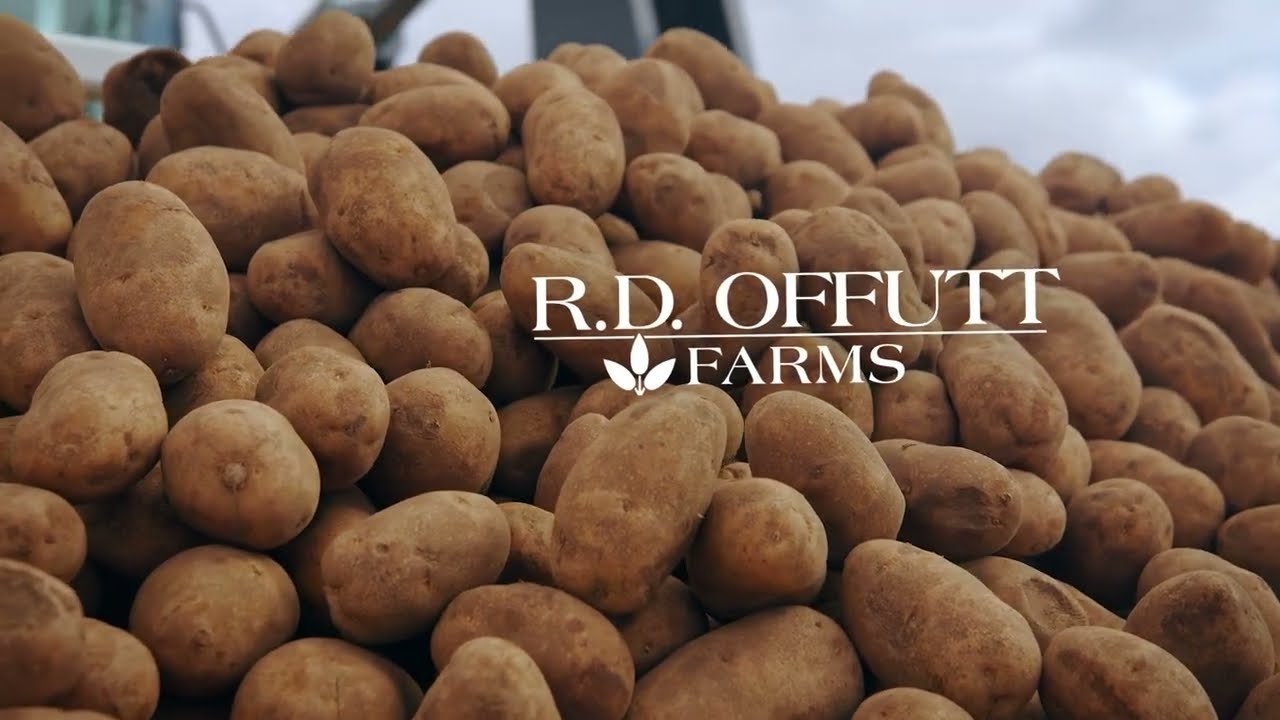 R.D. Offutt Farms: Committed to Growing the Best Potatoes and People