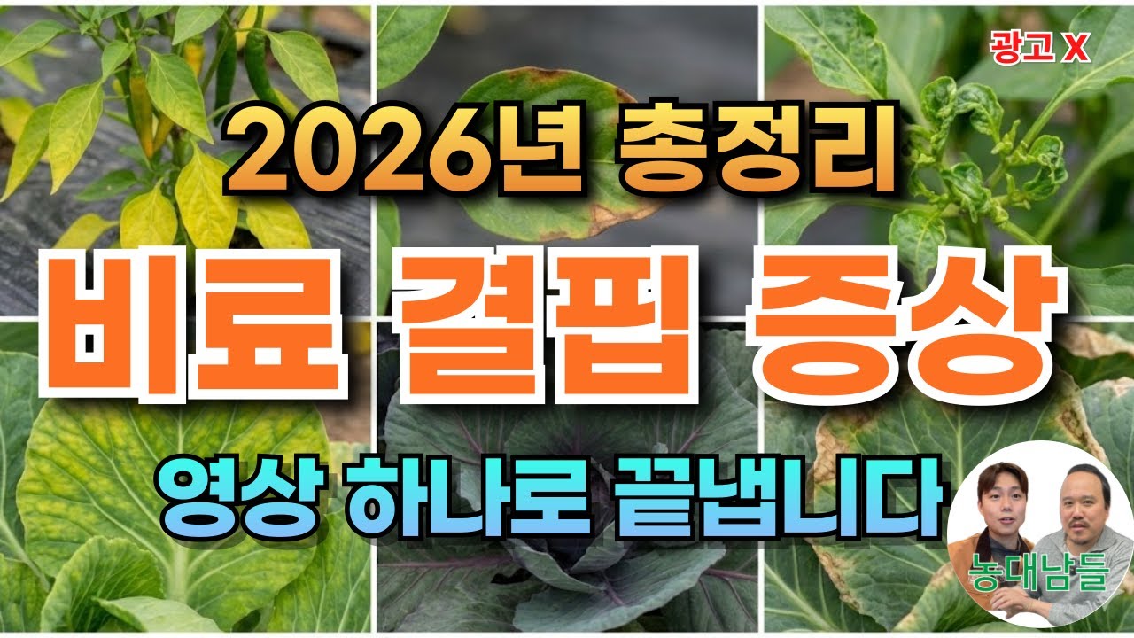 비료 주기 전에 꼭 보세요! 잎만 보고 부족한 양분 찾아내는 법 (총정리) | 비료전문가가 알려주는 양분결핍 확인하는 방법
