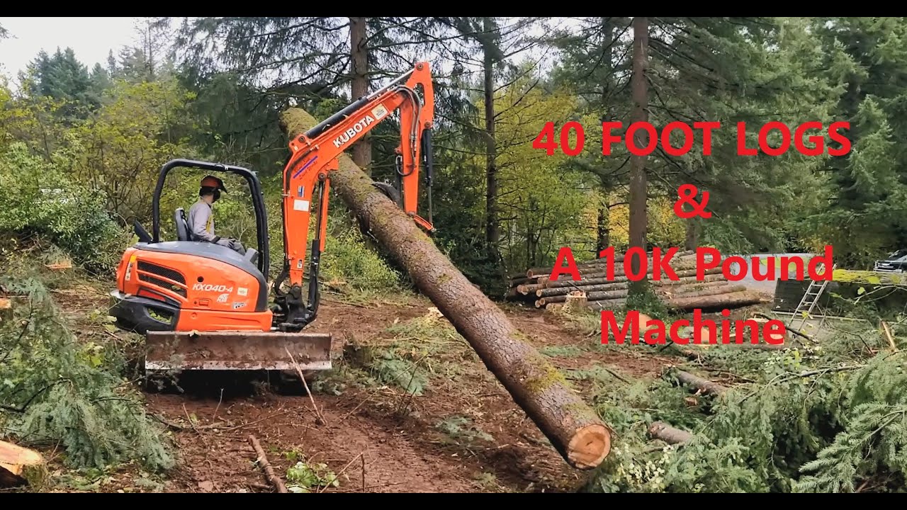 LOGGING with a MINI EXCAVATOR????? Kubota KX040-4