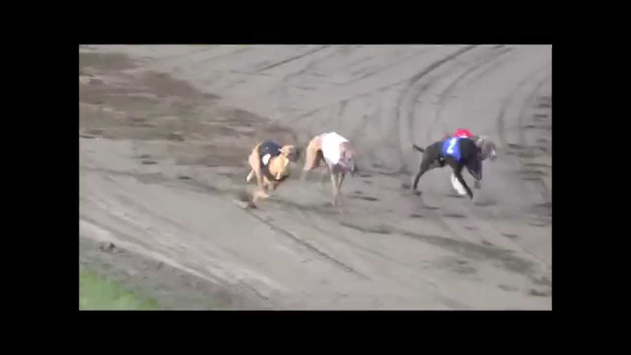 Demi-Finales - Championnat de France 2015 de la FFSCL