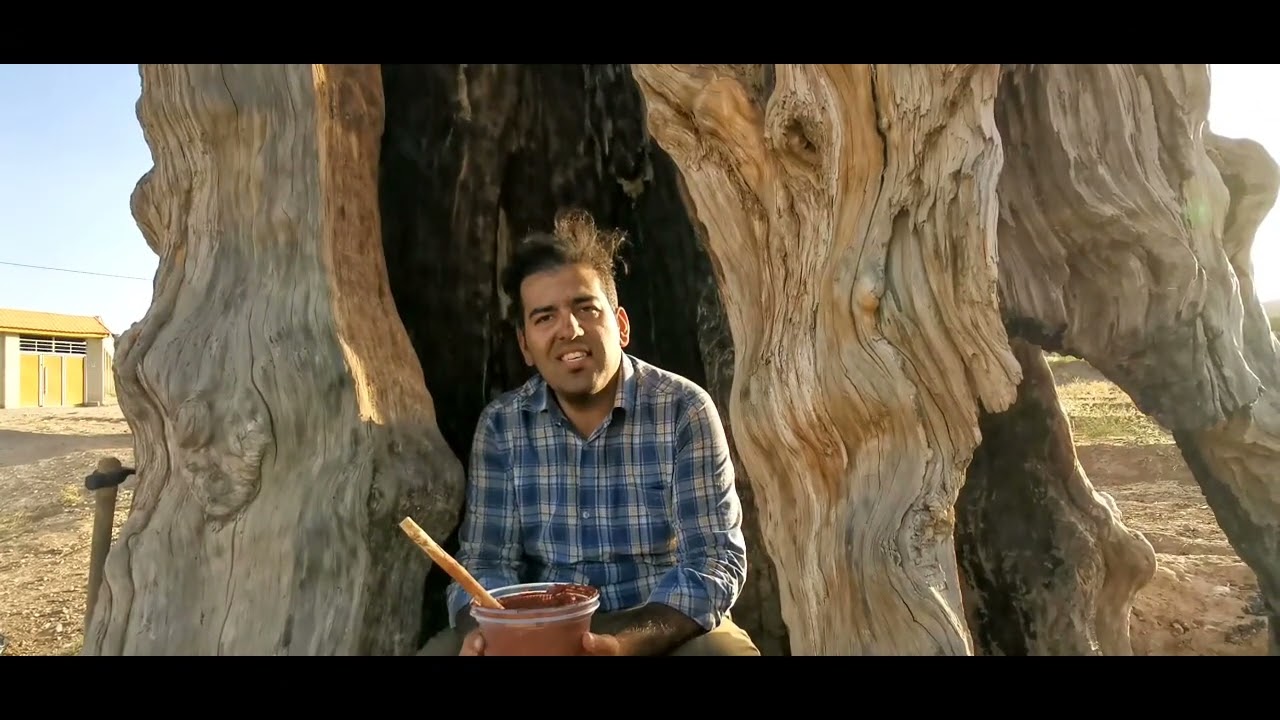 حفاظت از سرو کهنسال آفین