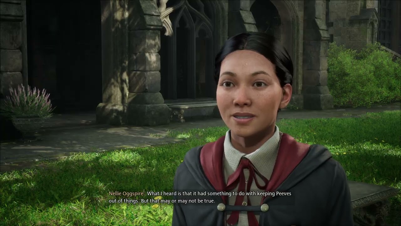 Hogwarts Legacy: Episode 4. A Wizard's list of chores