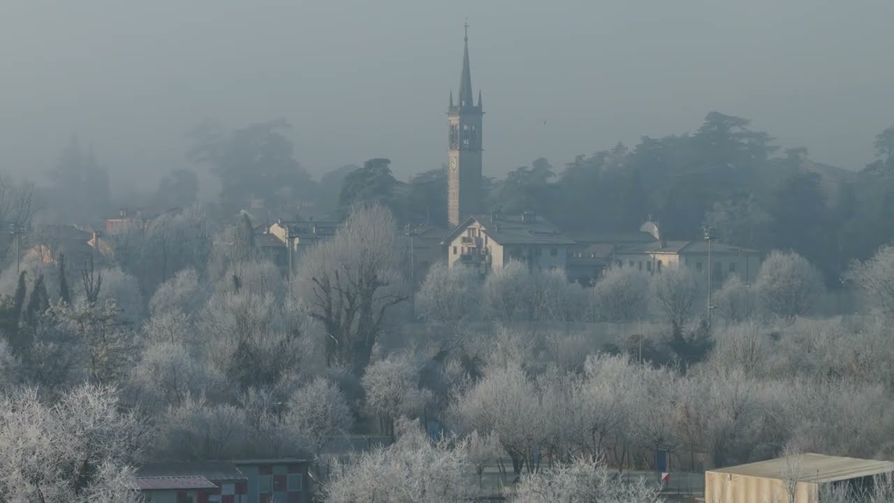 260110 Parco dell' Adige con la galaverna