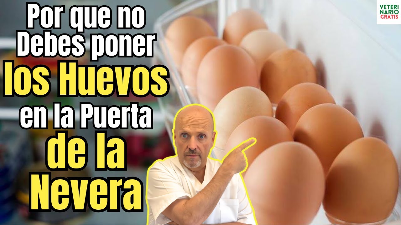 🫣 ¿POR QUE NO DEBES PONER LOS HUEVOS EN LA PUERTA DE LA NEVERA? 🫣