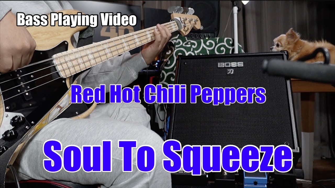Red Hot Chili Peppers/Soul To Squeeze ベース演奏