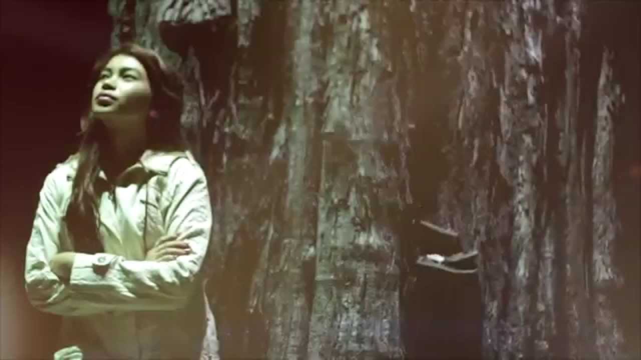 AZNOR JIPIN - Harapan Menanti (Official Musik Video)