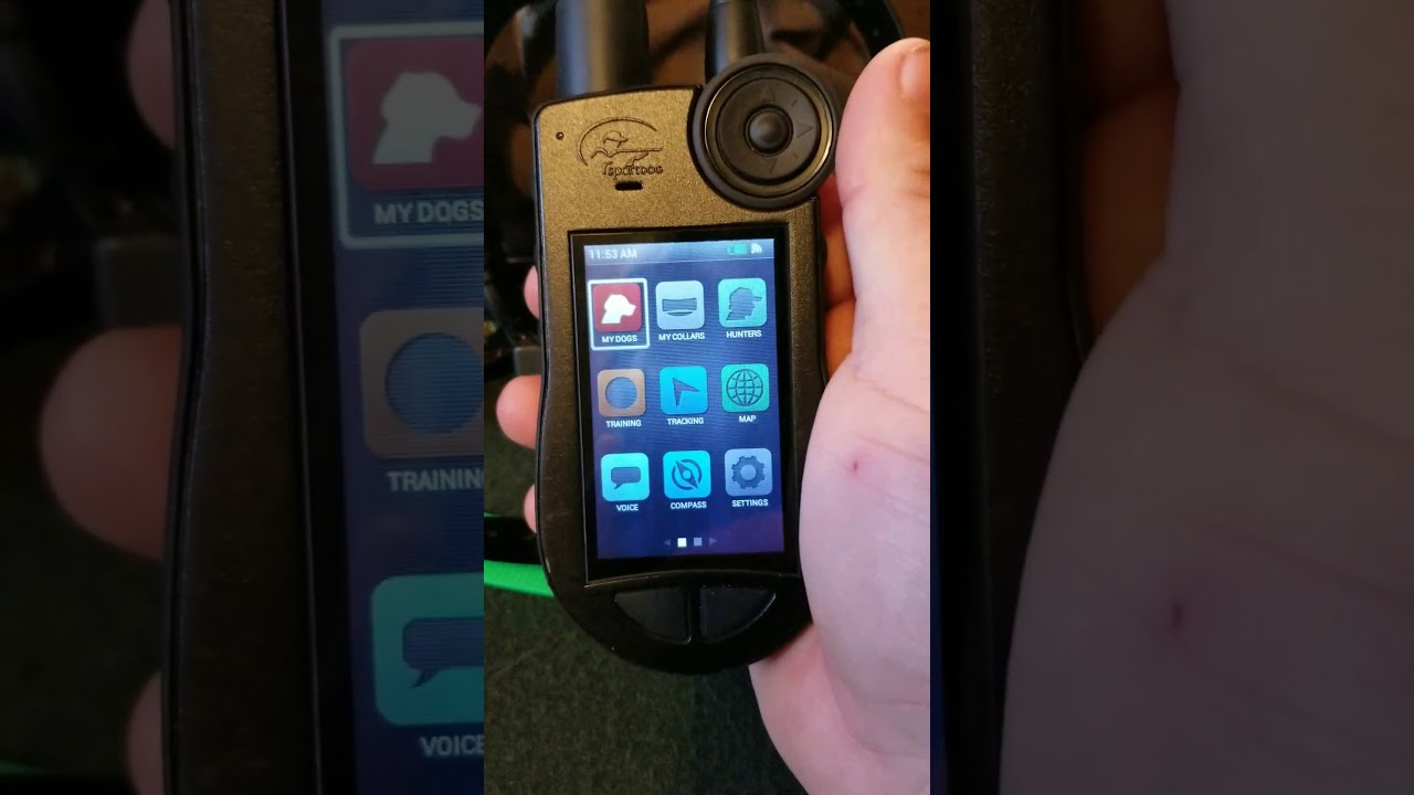 SportDOG BRAND TEK 2.0 REVIEW
