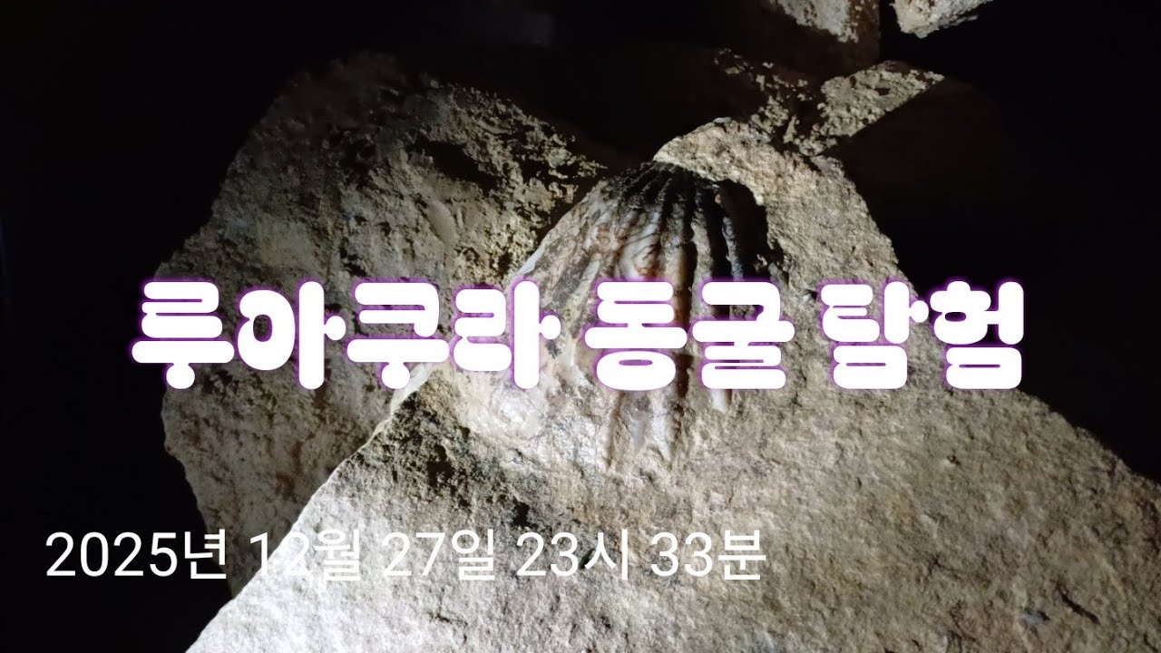 KOWiTV7의관광 NZ 유명 관광지 투어/ 루아쿠리 동굴 탐험
