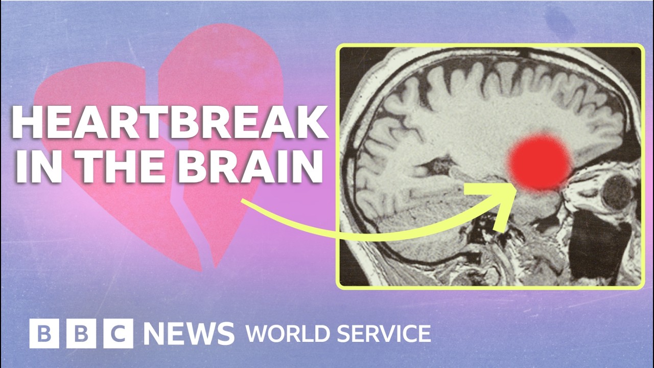How love and heartbreak rewire your brain - BBC World Service